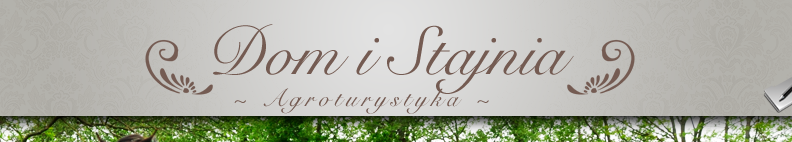 Dom agroturystyczny i stajnia - Dom i Stajnia Dom i Stajnia logo